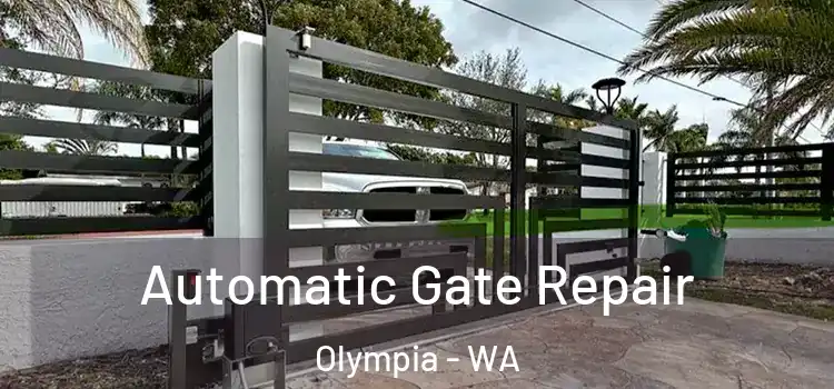 Automatic Gate Repair Olympia - WA