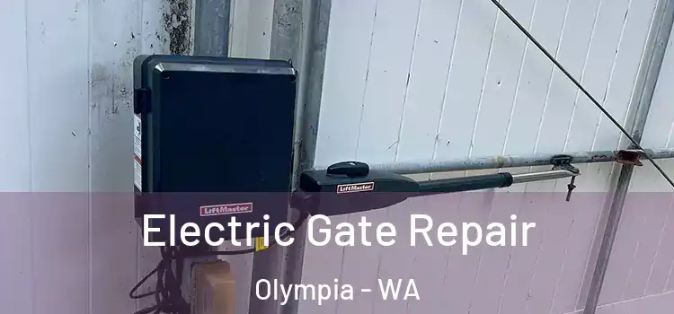  Electric Gate Repair Olympia - WA