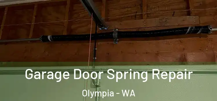  Garage Door Spring Repair Olympia - WA