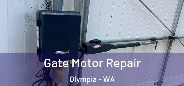  Gate Motor Repair Olympia - WA