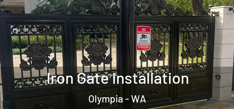 Iron Gate Installation Olympia - WA