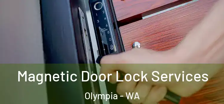 Magnetic Door Lock Services Olympia - WA