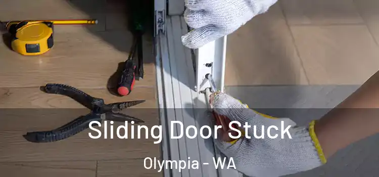  Sliding Door Stuck Olympia - WA